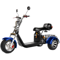 Электроскутер трехколесный CITYCOCO GT X11 TRIKE Синий