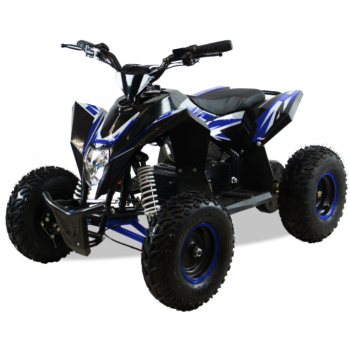 Электроквадроцикл Motax GEKKON 1300W черно-синий
