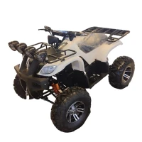 Электроквадроцикл Yasmand ATV X2 RWD 3000W 72V52Ah (GEL)