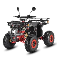 Электроквадроцикл WHITE SIBERIA SNEG PRO 3000W