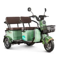 Электротрицикл Rutrike Gelbert Kang 48V/60V 800Вт